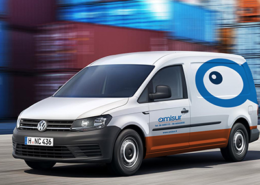 Amisur Pesce Surgelato